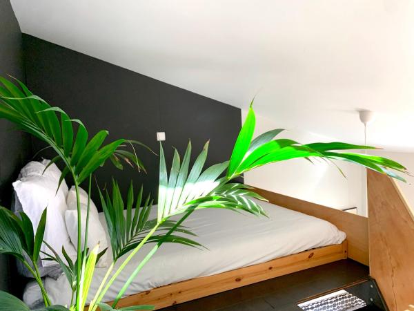 Fred's House Asprela : photo 6 de la chambre maison de vacances