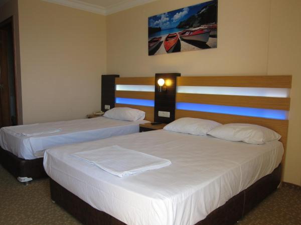 Sergent Hotel : photo 5 de la chambre chambre triple standard