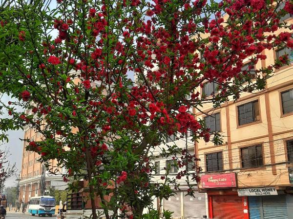 Best Hostel : photo 10 de la chambre chambre lits jumeaux avec salle de bains privative