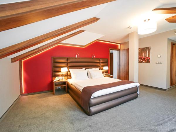 Holiday Inn Krakow City Centre, an IHG Hotel : photo 4 de la chambre suite 1 chambre