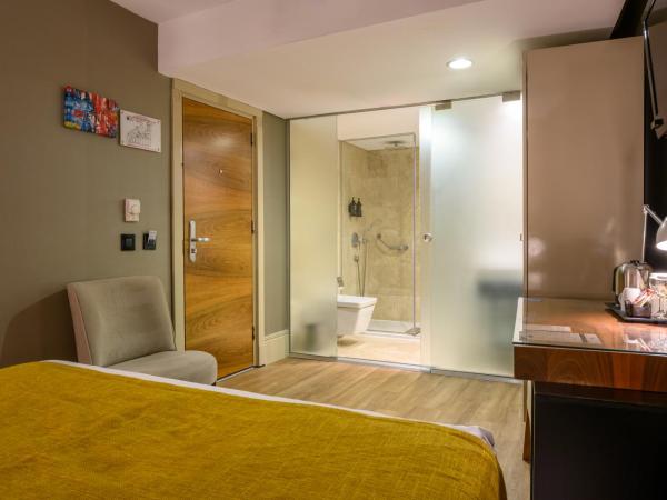 Ramada Istanbul Grand Bazaar : photo 3 de la chambre chambre double ou lits jumeaux Économique 