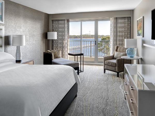 Bluegreen's Bayside Resort and Spa at Panama City Beach : photo 3 de la chambre studio lit king-size deluxe