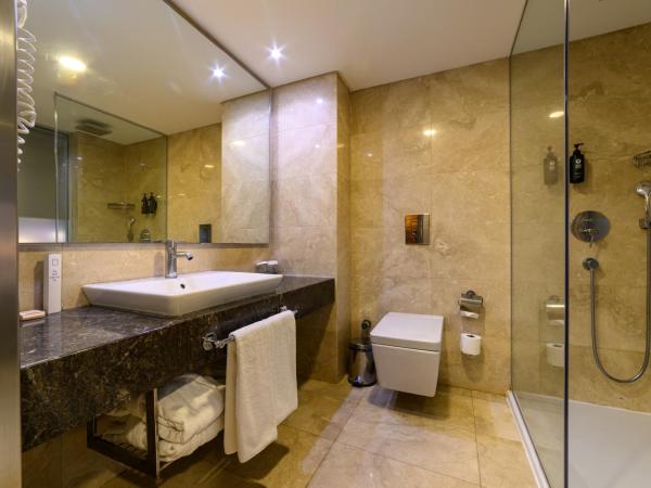 Ramada Istanbul Grand Bazaar : photo 8 de la chambre chambre familiale Économique