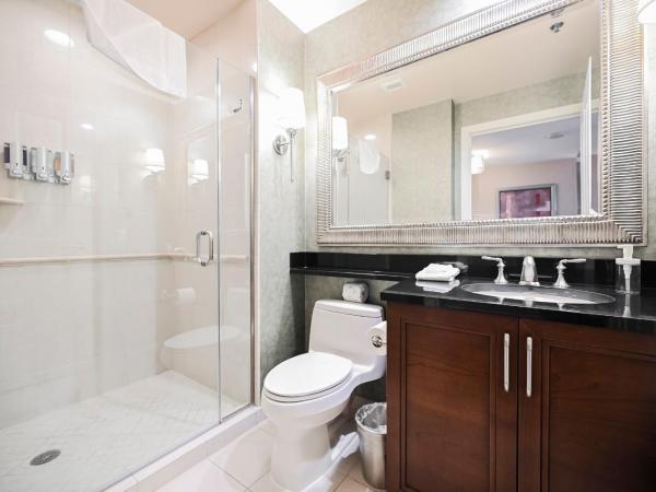 StripViewSuites at Signature : photo 2 de la chambre one-bedroom - extended balcony