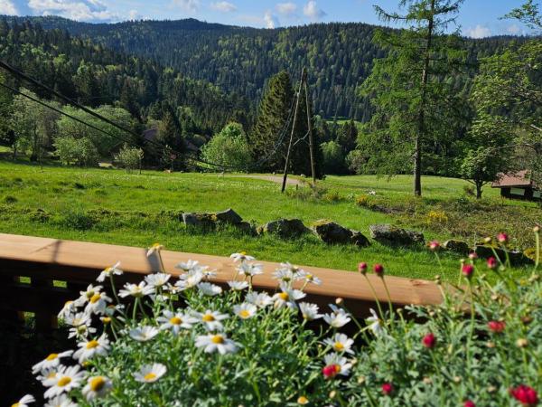 Chalet Perle des Hauts : photo 3 de la chambre chambre double - vue sur montagne