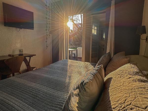 Distrito Condesa Rooms and Studios : photo 6 de la chambre chambre double deluxe avec balcon