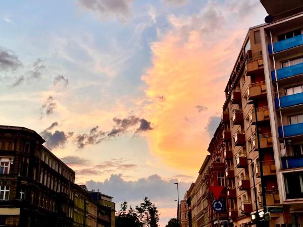 Beautiful rooms - Top Center in Szczecin : photo 10 de la chambre chambre simple