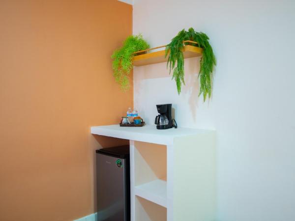Hotel Tropicus Boutique : photo 5 de la chambre studio standard