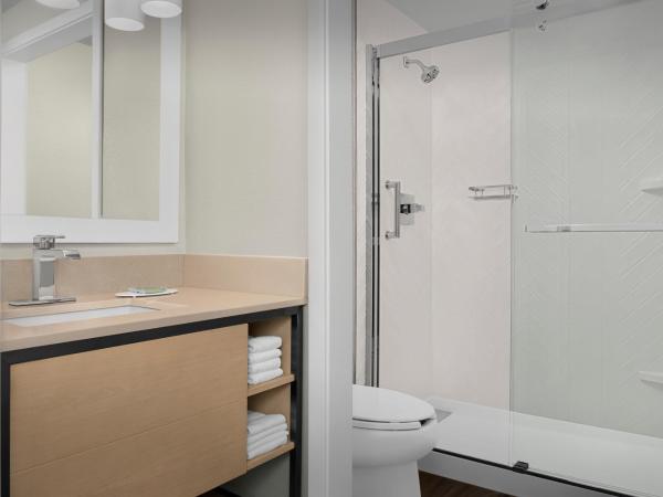 TownePlace Suites Sacramento Cal Expo : photo 6 de la chambre studio lit queen-size avec canapé-lit