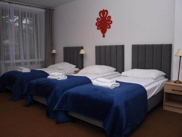 Hotel Boruta : photo 3 de la chambre chambre triple