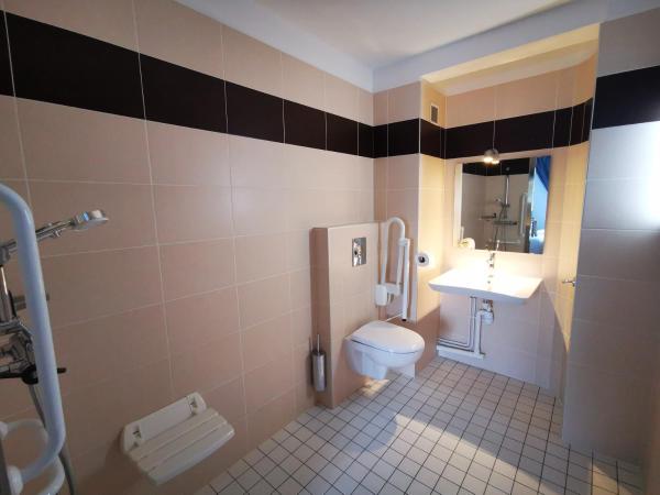 Anaïs Hôtel Bourges Nord Saint-Doulchard : photo 6 de la chambre chambre double - accessible aux personnes à mobilité réduite