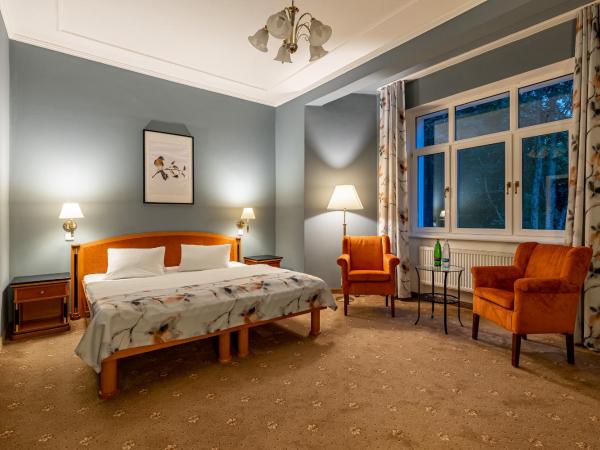 Spa & Wellness Hotel Silva : photo 8 de la chambre chambre double avec accès sauna