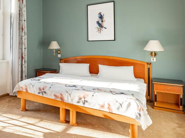 Spa & Wellness Hotel Silva : photo 1 de la chambre chambre double standard