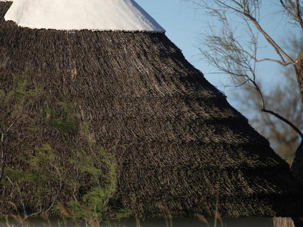 Les Bains Gardians : photo 4 de la chambre chambre double cabane de gardian