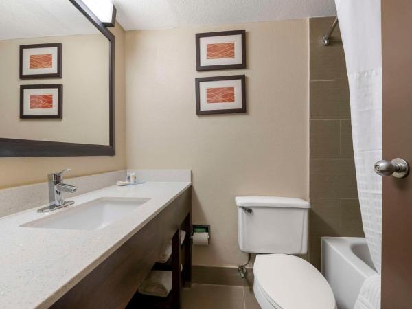 Comfort Inn & Suites North at the Pyramids : photo 4 de la chambre chambre lit king-size standard - non-fumeurs