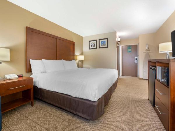 Comfort Inn & Suites North at the Pyramids : photo 4 de la chambre chambre lit king-size pour personnes à mobilité réduite - non-fumeurs