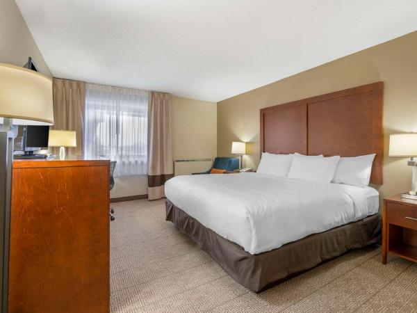 Comfort Inn & Suites North at the Pyramids : photo 3 de la chambre chambre lit king-size pour personnes à mobilité réduite - non-fumeurs
