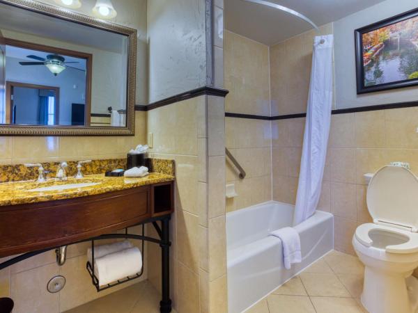 Drury Plaza Hotel San Antonio Riverwalk : photo 6 de la chambre suite supérieure lit king-size