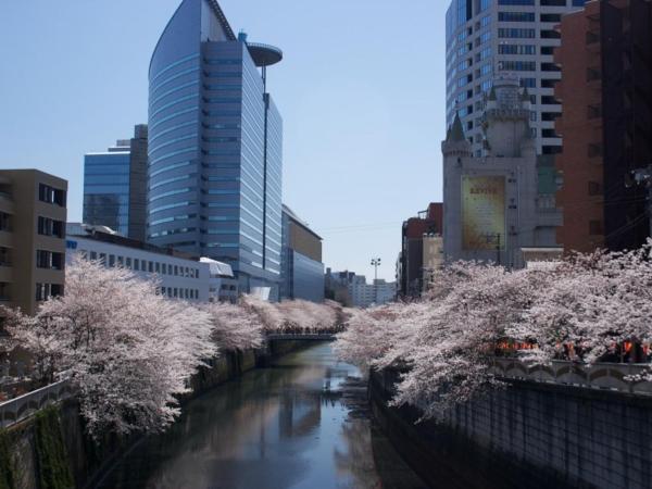 Meguro Emperor (Adult Only) : photo 8 de la chambre chambre double