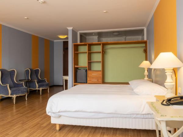 Hotel Parc Belle-Vue : photo 8 de la chambre chambre double supérieure