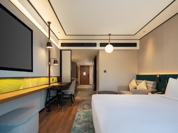 Hilton Garden Inn Beijing West Railway Station : photo 6 de la chambre chambre lit king-size - accessible aux personnes à mobilité réduite