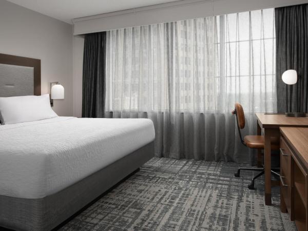 Homewood Suites by Hilton San Antonio Riverwalk/Downtown : photo 9 de la chambre suite lit queen-size 1 chambre