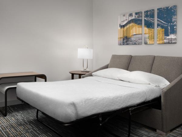 Homewood Suites by Hilton San Antonio Riverwalk/Downtown : photo 10 de la chambre suite 1 chambre lit king-size