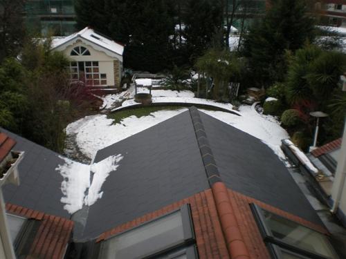 365 London Hostel : photo 3 de la chambre lit superposé dans dortoir pour femmes