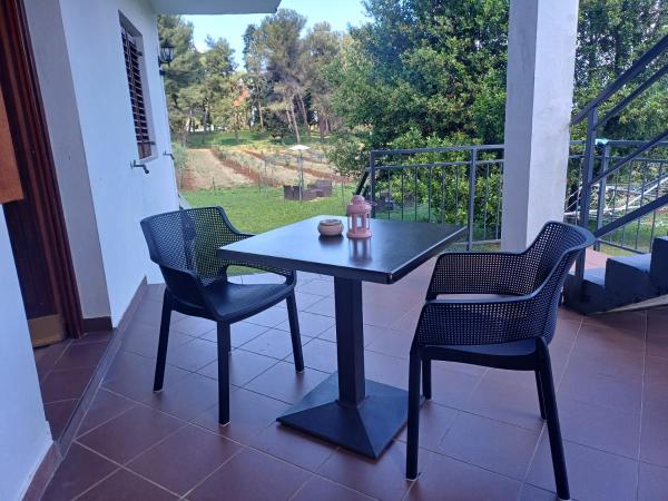 Apartments & Rooms Darrer : photo 8 de la chambre appartement - vue sur jardin