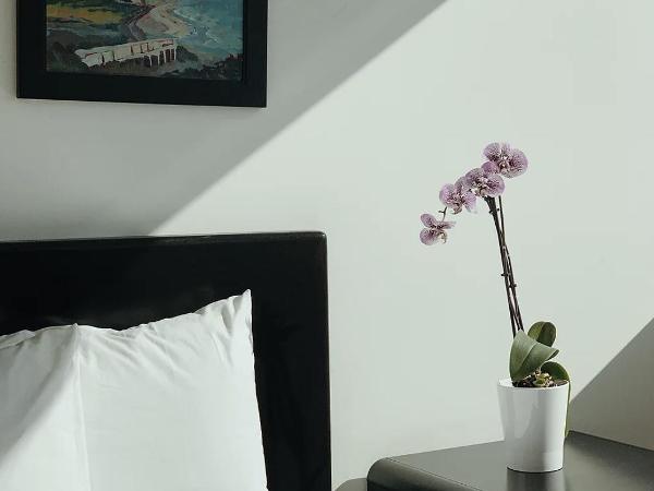 Abpopa Hillcrest : photo 1 de la chambre studio - accessible aux personnes à mobilité réduite 