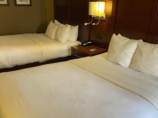 Comfort Inn Indianapolis South I-65 : photo 4 de la chambre chambre 2 lits queen-size - non-fumeurs