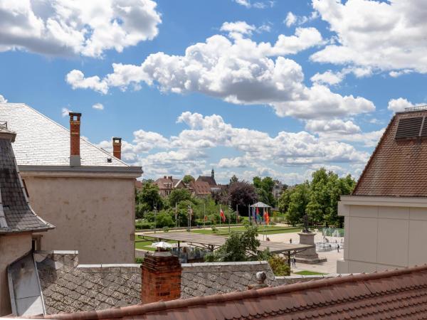 Travel Homes - Rapp, charm in the heart of Colmar : photo 6 de la chambre appartement 1 chambre