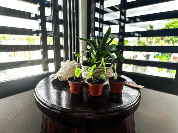 La Perle Noire - Auberge : photo 7 de la chambre chambre lit king-size standard