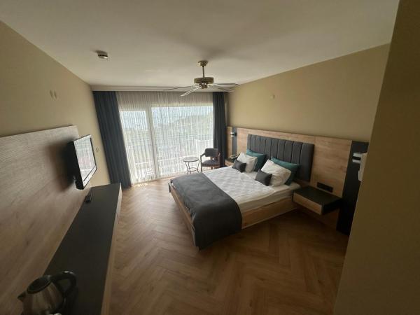 Hotel Carina : photo 2 de la chambre chambre double deluxe avec vue sur château