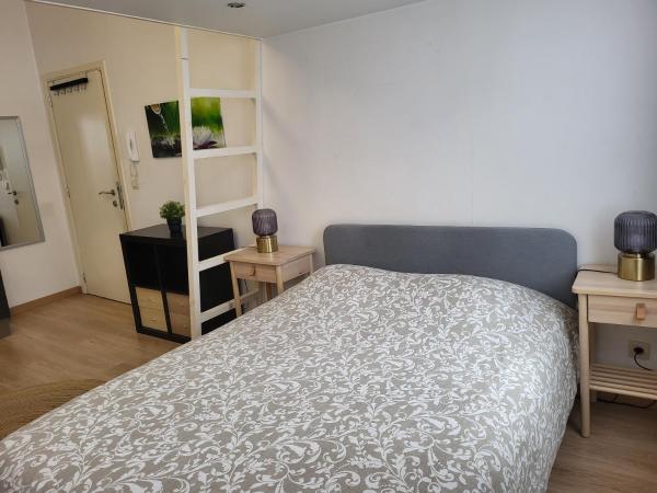 Studios idéalement situés - EU : photo 2 de la chambre studio