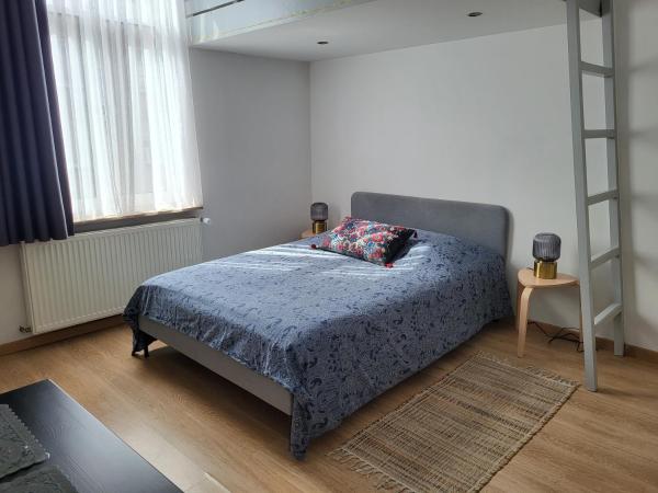 Studios idéalement situés - EU : photo 4 de la chambre studio