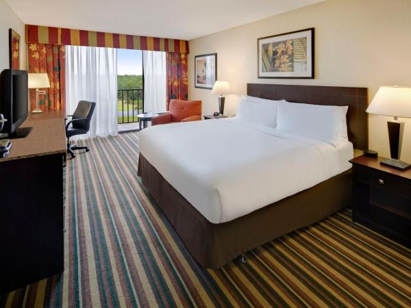Holiday Inn & Suites Orlando SW - Celebration Area, an IHG Hotel : photo 7 de la chambre chambre lit king-size standard