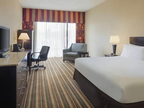 Holiday Inn & Suites Orlando SW - Celebration Area, an IHG Hotel : photo 4 de la chambre chambre lit king-size pour personnes à mobilité réduite – douche accessible en fauteuil roulant - non-fumeurs