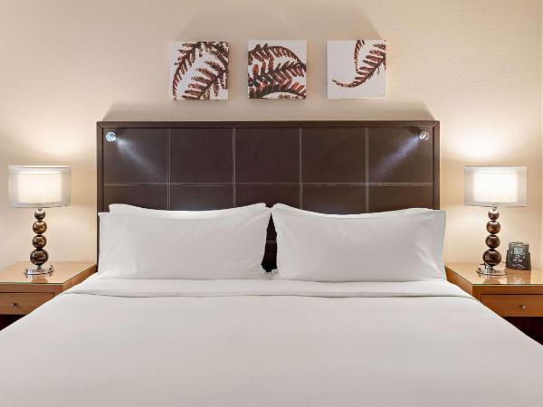 Hilton Dresden an der Frauenkirche : photo 2 de la chambre chambre double