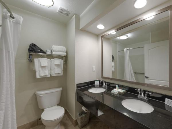 Galleria Palms Orlando - Free Theme Park Shuttles : photo 7 de la chambre chambre avec 2 grands lits queen-size