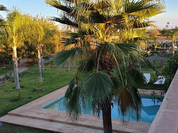 Maison d'Hôtes à Marrakech : photo 5 de la chambre chambre lit king-size - vue sur jardin