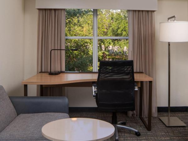 Residence Inn Orlando Convention Center : photo 3 de la chambre suite 1 chambre lit king-size avec canapé-lit