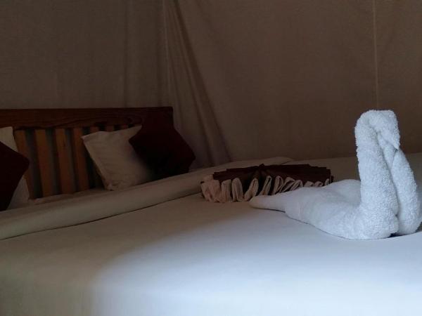 Kalash Parkaze And Tent Inn : photo 5 de la chambre chambre lit king-size deluxe