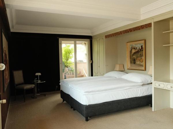 Hotel Luzernerhof : photo 1 de la chambre appartement avec terrasse