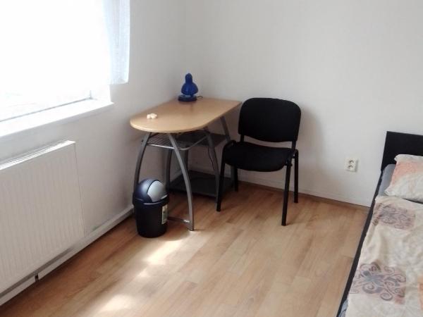 Ubytovna Vídeňská : photo 3 de la chambre chambre simple avec salle de bains commune