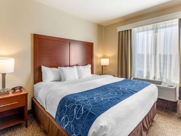 Comfort Suites Near Denver Downtown : photo 1 de la chambre suite lit king-size avec canapé-lit
