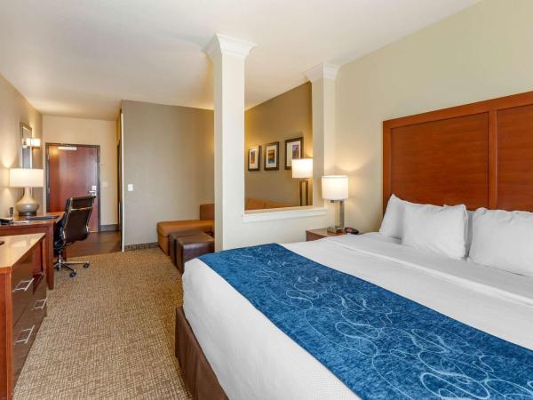 Comfort Suites Near Denver Downtown : photo 4 de la chambre suite lit king-size avec canapé-lit
