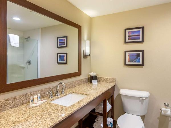 Comfort Suites Near Denver Downtown : photo 5 de la chambre suite lit king-size avec canapé-lit