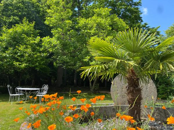 Manoir Du Parc (Adults only) : photo 6 de la chambre petite chambre double - manoir