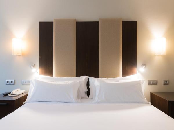 Hotel Ciudad de Valladolid : photo 3 de la chambre chambre double standard